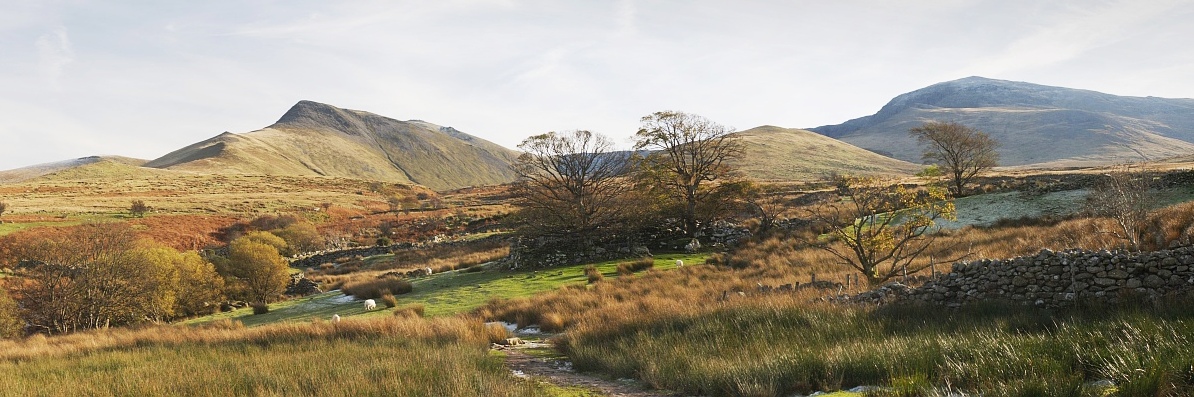 Carneddau