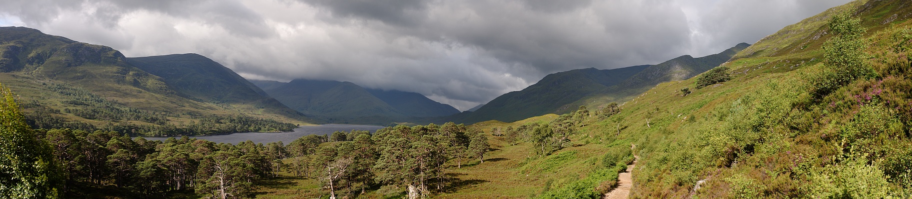 Glen Affric